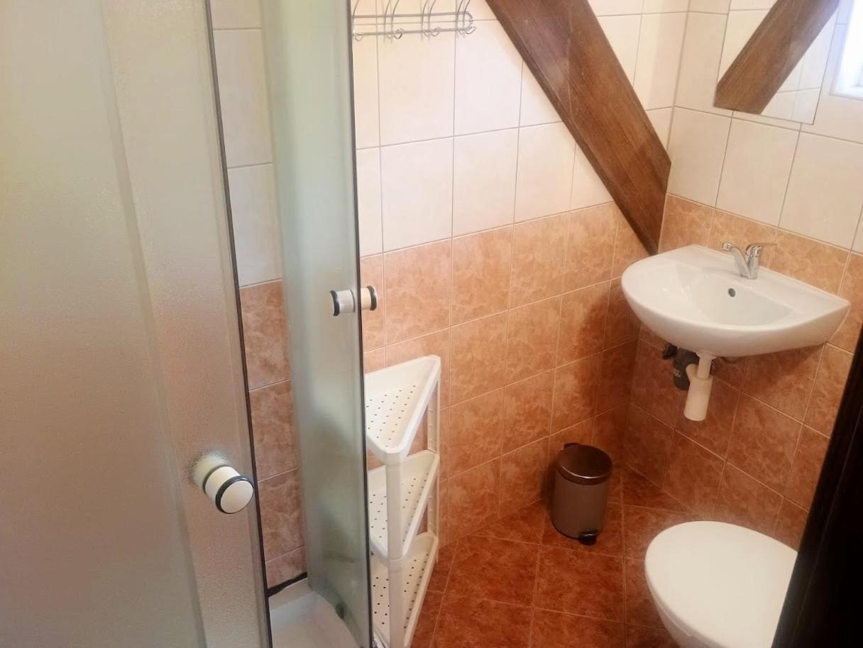 Penzion "V Zeleny" Rokytnice nad Jizerou Luaran gambar